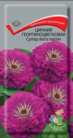 Цинния георгиноцветковая Супер йога парпл (ЦП) 0,4