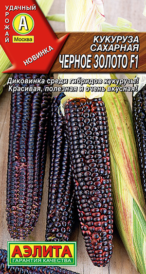 Кукуруза сахарная Черное золото F1 --- фото в интернет-магазине "Сортовые семена"