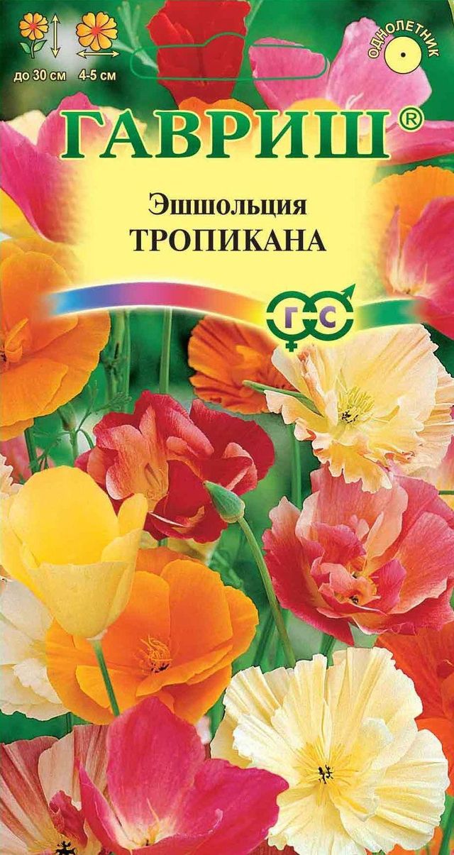 Каталог Семян Цветов Фото