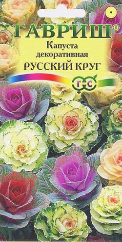 Капуста декоративная Русский круг* 0,1 г фото в интернет-магазине "Сортовые семена"