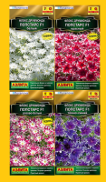 Флокс друммонда Попстарс F1 Floranova, Набор_2 (4уп-ки), АЭ