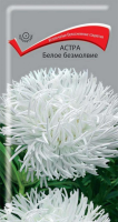 Фото Астра Белое безмолвие (ЦП) 0,3