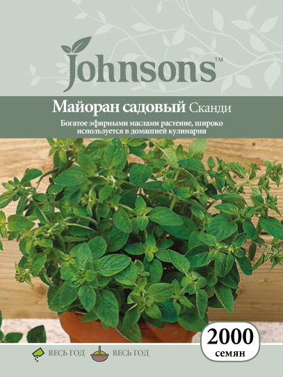 Майоран садовый Сканди фото в интернет-магазине "Сортовые семена"