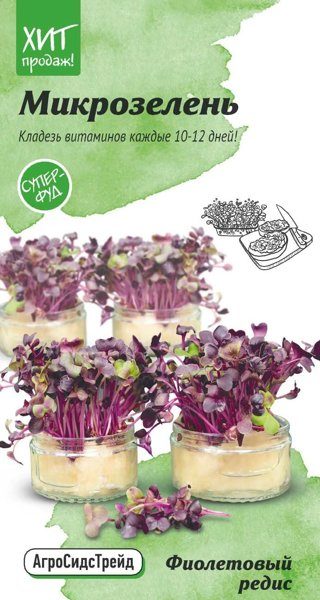 Микрозелень Фиолетовый редис 5 г АСТ фото в интернет-магазине "Сортовые семена"