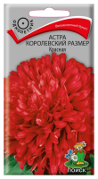 Астра королевский размер Красная (ЦП) 0,1