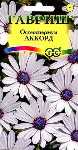 Остеоспермум Аккорд (Капская маргаритка)  0,1 г фото в интернет-магазине "Сортовые семена"