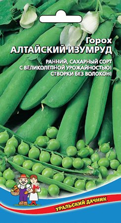 Горох Алтайский Изумруд фото в интернет-магазине "Сортовые семена"