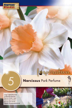 Нарцисс Парк Парфюм фото в интернет-магазине "Сортовые семена"