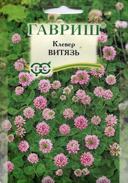 Клевер Витязь луговой 0,5 кг фото в интернет-магазине "Сортовые семена"
