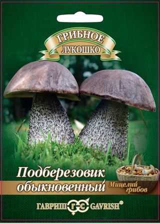 Мицелий Подберезовик на зерновом субстрате, 15мл, ГШ фото в интернет-магазине "Сортовые семена"