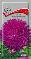 Фото Астра Василиса прекрасная (ЦП) 0,3
