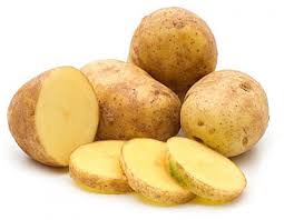 Картофель семенной Гала фото в интернет-магазине "Сортовые семена"