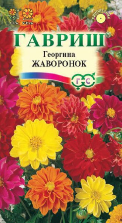 Георгина Жаворонок, смесь 0,3 г фото в интернет-магазине "Сортовые семена"