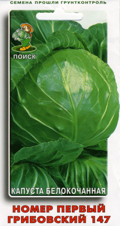 Капуста белокочанная Номер первый Грибовский 147 (ЦВ) 0,5гр. фото в интернет-магазине "Сортовые семена"