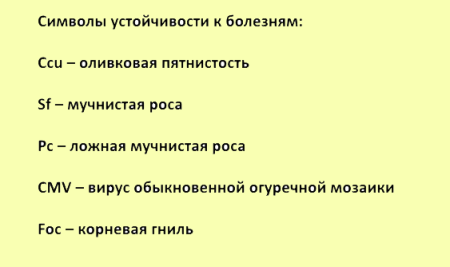 Огурец Колибри Манул Ц фото в интернет-магазине "Сортовые семена"