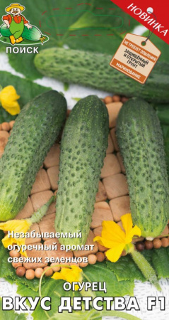 Огурец Вкус детства F1(А) (ЦВ) 12шт. фото в интернет-магазине "Сортовые семена"