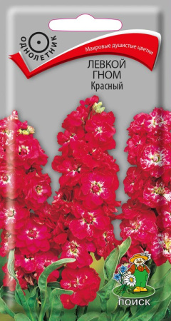Левкой Гном Красный (ЦВ) ("1) 0,3гр фото в интернет-магазине "Сортовые семена"