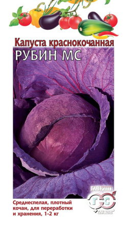 Капуста краснокоч. Рубин МС 0,3 г фото в интернет-магазине "Сортовые семена"