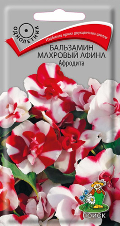 Бальзамин махровый Афина Афродита (ЦВ) ("1) 5шт фото в интернет-магазине "Сортовые семена"