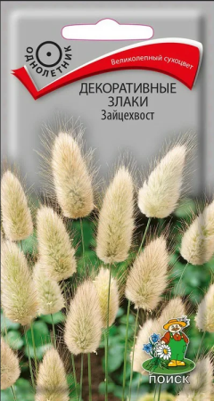 Декоративные злаки Зайцехвост (ЦП) 0,1 фото в интернет-магазине "Сортовые семена"