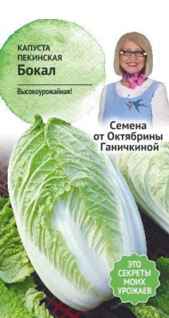 Капуста пекинская Бокал 0,3 г АСТ фото в интернет-магазине "Сортовые семена"