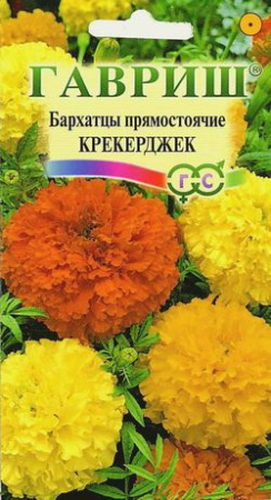 Бархатцы пр. Крекерджек (Тагетес) 0,3 г фото в интернет-магазине "Сортовые семена"