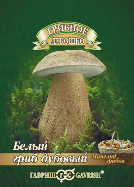 Белый гриб Дубовый на зерновом субстрате 15 мл фото в интернет-магазине "Сортовые семена"