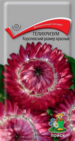 Гелихризум Королевский размер красный (ЦВ) ("1) 0,1гр. фото в интернет-магазине "Сортовые семена"