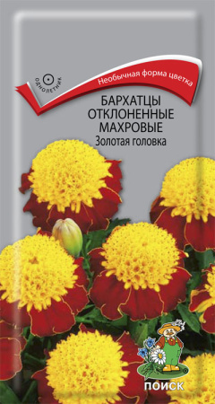 Бархатцы отклоненные махровые Золотая головка (ЦП) 0,4 фото в интернет-магазине "Сортовые семена"