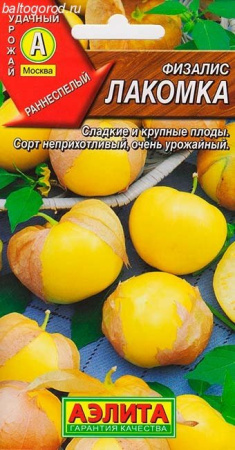 Физалис Лакомка --- фото в интернет-магазине "Сортовые семена"