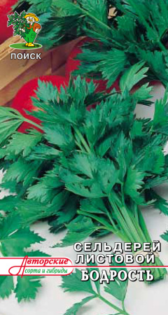 Сельдерей листовой Бодрость фото в интернет-магазине "Сортовые семена"