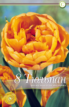 Тюльпан Дабл Бьюти оф Апельдорн (махровый) фото в интернет-магазине "Сортовые семена"