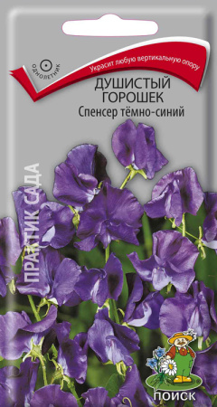 Душистый горошек Спенсер темно-синий (ЦП) 1 фото в интернет-магазине "Сортовые семена"