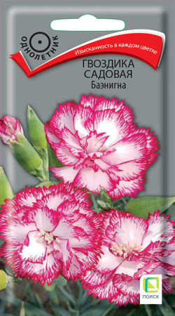 Гвоздика садовая Баэнигна (ЦП) 0,1 фото в интернет-магазине "Сортовые семена"