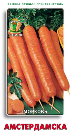 Морковь Амстердамска фото в интернет-магазине "Сортовые семена"