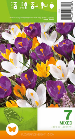 Крокусы крупноцветковые Микс фото в интернет-магазине "Сортовые семена"