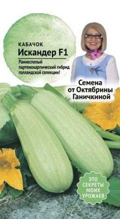 Кабачок Искандер F1 5 шт фото в интернет-магазине "Сортовые семена"
