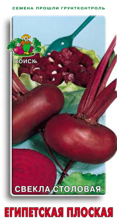 Свекла столовая Египетская плоская фото в интернет-магазине "Сортовые семена"