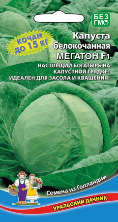 Капуста белокочанная Мегатон F1 (УД) Е/П 10 шт. фото в интернет-магазине "Сортовые семена"