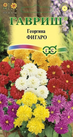Георгина Фигаро 10 шт. негранул. фото в интернет-магазине "Сортовые семена"