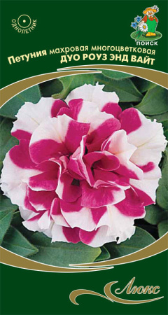 Петуния махровая многоцветковая Дуо роуз энд вайт (ЦП) 10 фото в интернет-магазине "Сортовые семена"