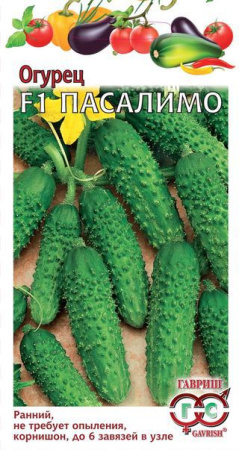 Огурец Пасалимо F1 0,3 г корнишон (Голландия) фото в интернет-магазине "Сортовые семена"
