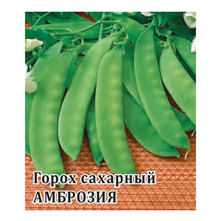 Горох Амброзия 50,0 г фото в интернет-магазине "Сортовые семена"