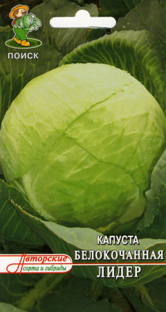 Капуста белокочанная Лидер фото в интернет-магазине "Сортовые семена"
