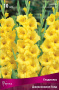 Гладиолус Джэксонвилл Голд (крупноцветковый) фото в интернет-магазине "Сортовые семена"