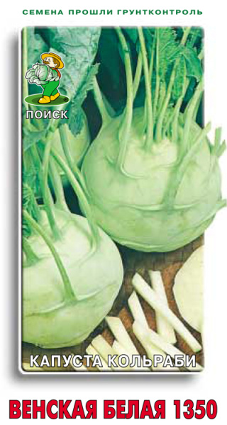 Капуста кольраби Венская белая 1350 (ЦВ) 0,5гр. фото в интернет-магазине "Сортовые семена"