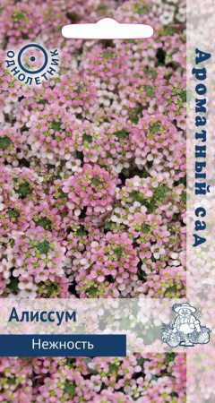 Алиссум Нежность (ЦВ) (Ароматный сад "1) 20шт фото в интернет-магазине "Сортовые семена"