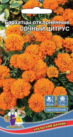 Цветы Бархатцы отклоненные Сочный Цитрус фото в интернет-магазине "Сортовые семена"