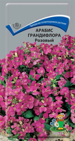 Арабис грандифлора Розовый (ЦП) 0,1 фото в интернет-магазине "Сортовые семена"