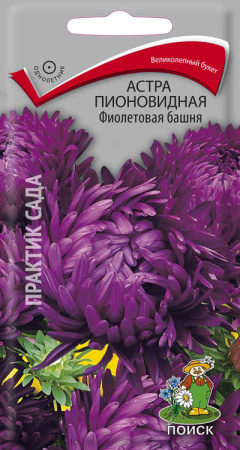 Астра пионовидная Фиолетовая башня (ЦП) 0,3 фото в интернет-магазине "Сортовые семена"